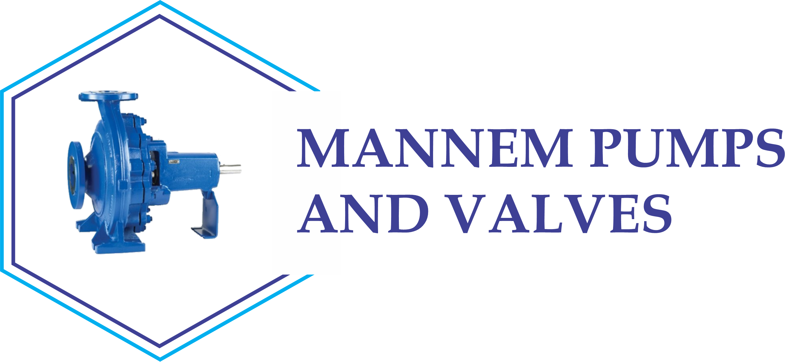 Mannempumpsandvalves